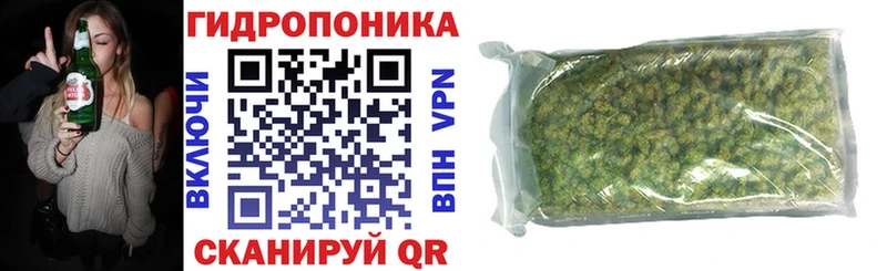 купить наркотик  Кущёвская  Шишки марихуана сатива 